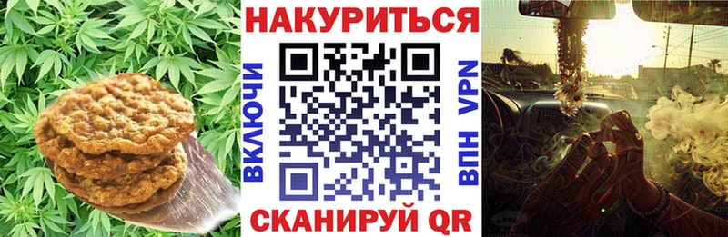 Canna-Cookies марихуана  Бакал 