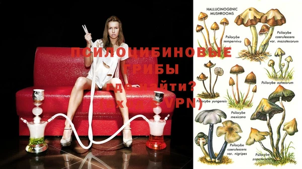 кокаин премиум Алзамай