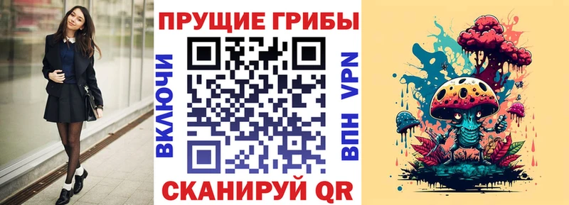 гидра зеркало  Бакал  Псилоцибиновые грибы GOLDEN TEACHER  купить  цена 